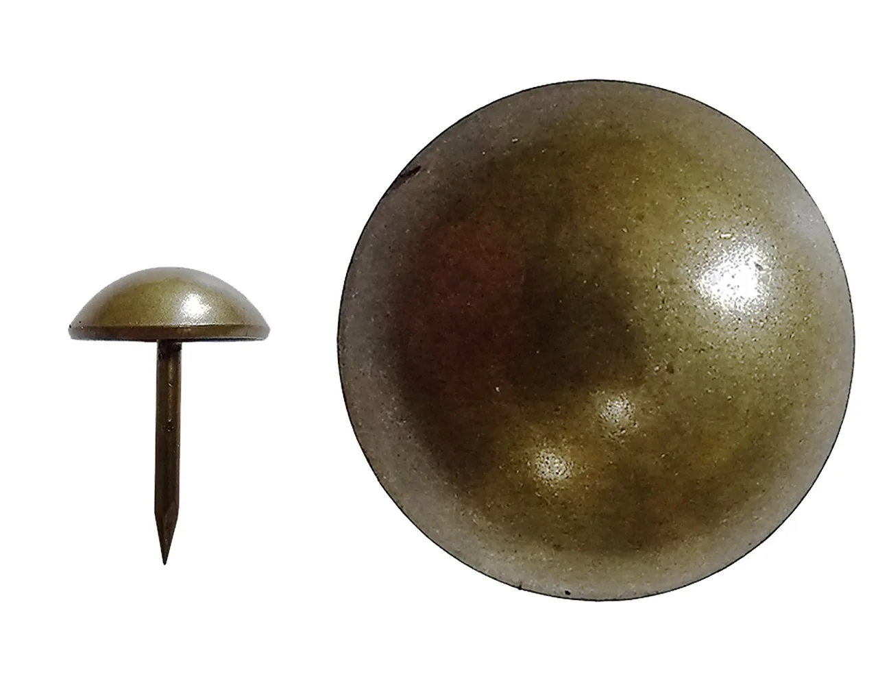 Tachuela decorativa abombada – alta – Clavos decorativos y tachuelas decorativas